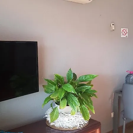 Апартаменты Zen Garden Golf Del Sur Сан Мигель